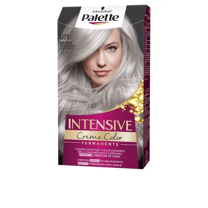 PALETTE INTENSIVE dye #U71-silver gray - 1 u