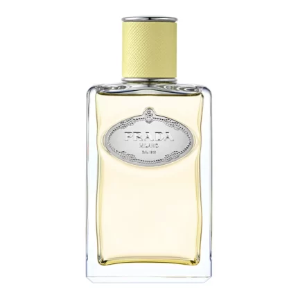 INFUSION DE GINGEMBRE edp vapo 100 ml