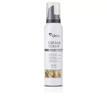 COLOR FOAM #silver 200 ml - 200 ml