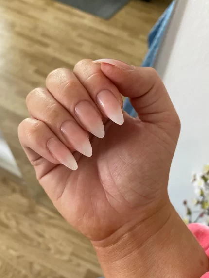 NAIL ADDICT ombre fade 1 unité