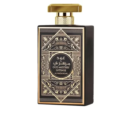 OUD MYSTERY INTENSE eau de parfum vaporisateur 100 ml
